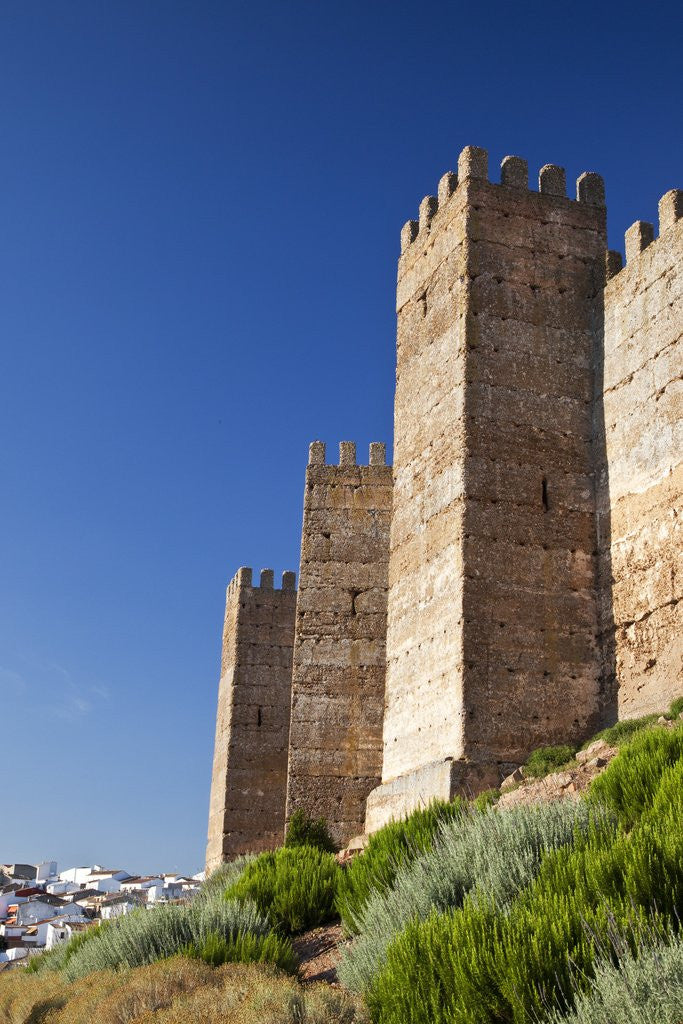 Detail of Burgalimar Castle in Andalusia, Spain by Anonymous