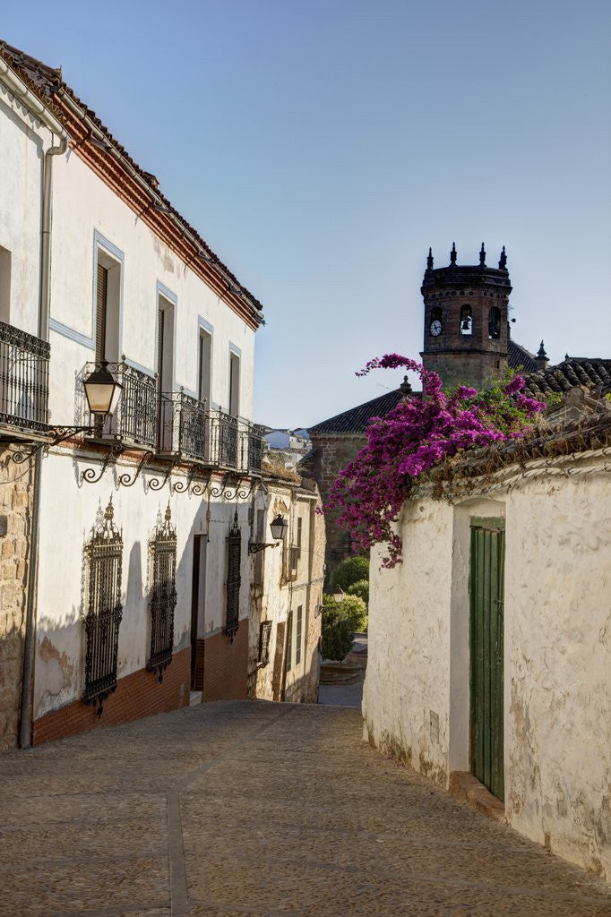 Detail of Streets of Banos de la Encina, Andalusia, Spain by Anonymous