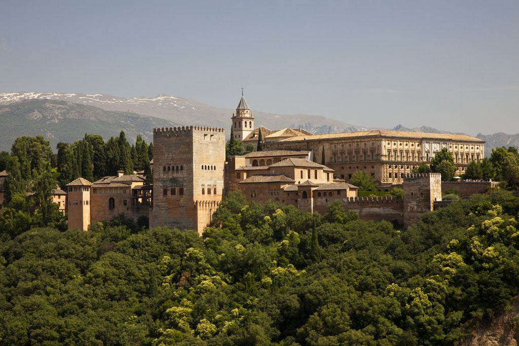 Detail of Alhambra Palace in Andaluisa, Spain by Anonymous