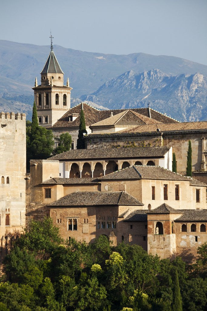 Detail of Alhambra Palace in Andaluisa, Spain by Anonymous