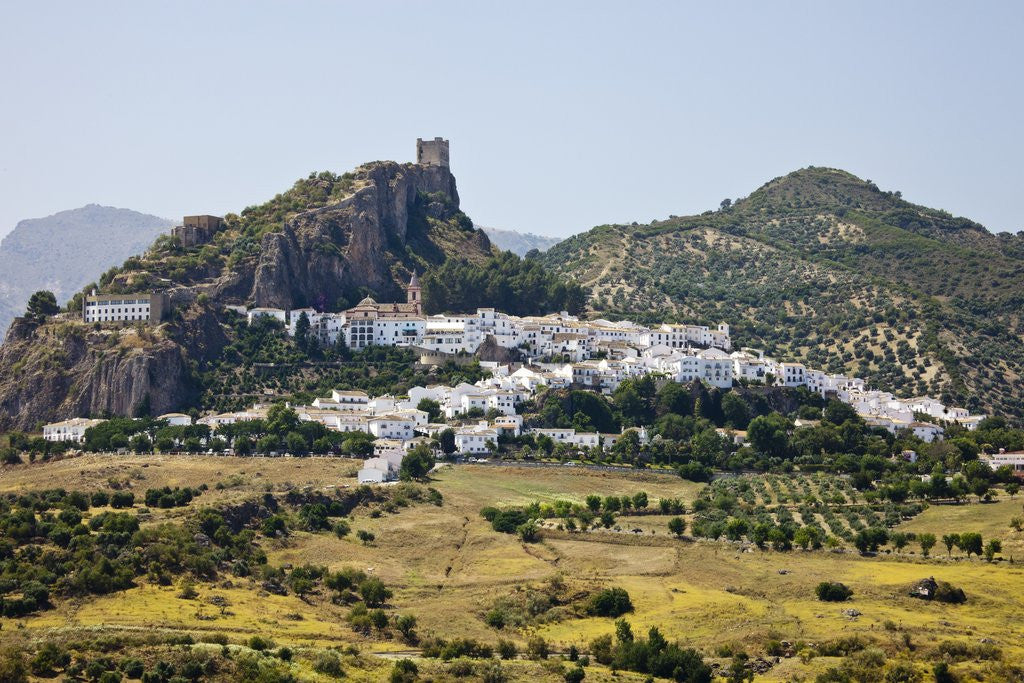 Detail of The whitewashed village of Zahara de la Sierra, Spain by Anonymous