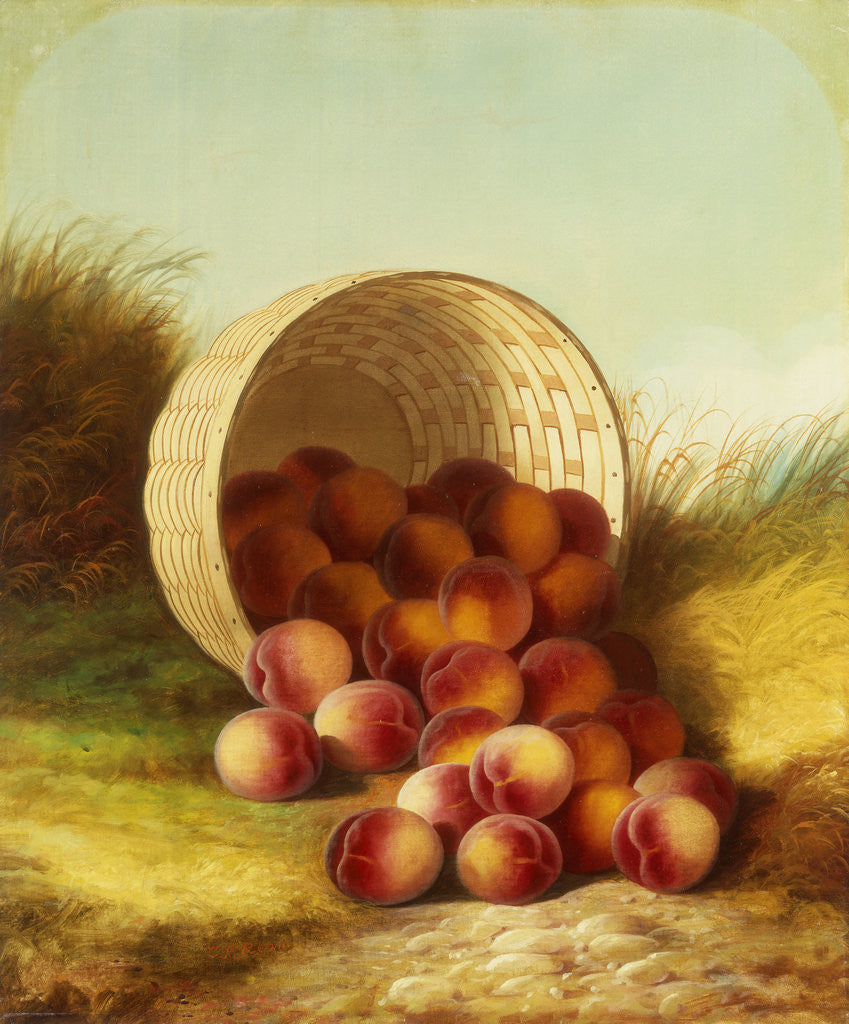 Detail of Peaches in a Basket by Carducius Plantagenet Ream