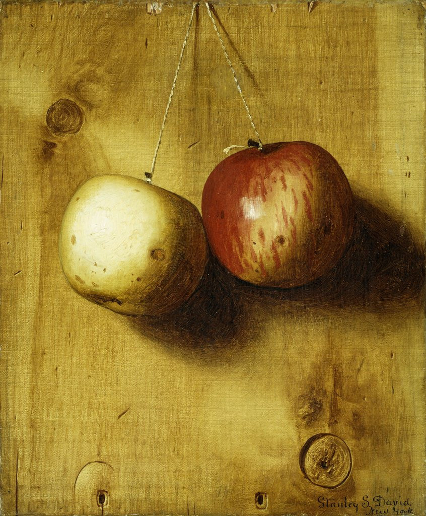 Detail of Two Apples by Stanley S David