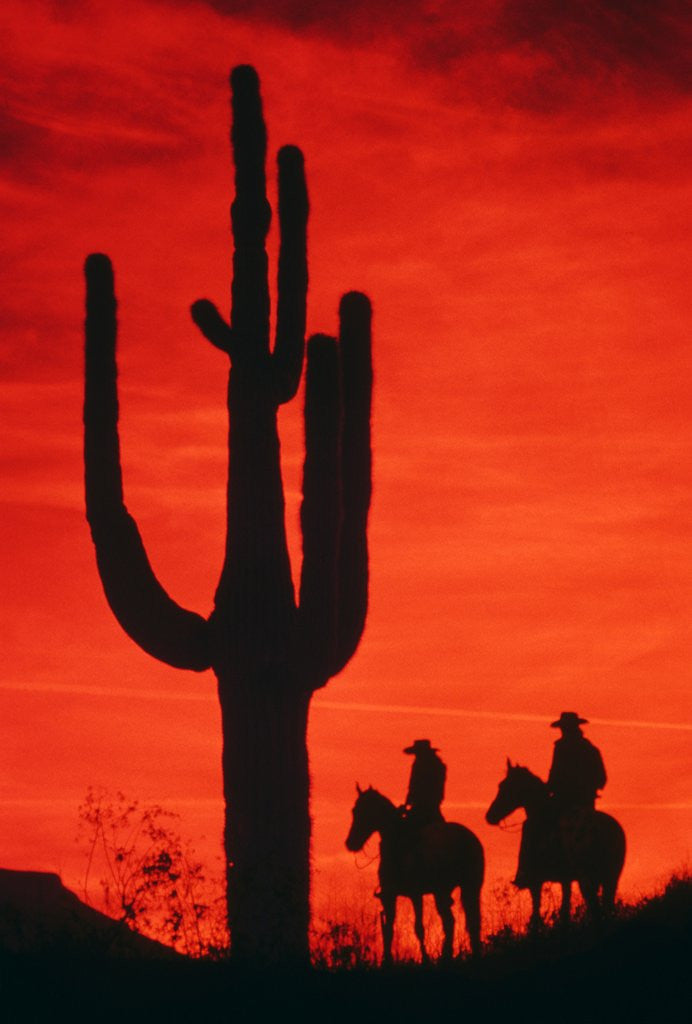 Detail of 1980s silhouette of two anonymous cowboys riding on horseback by Corbis