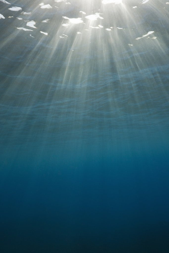 Detail of Sunbeams filtering through the ocean surface by Anonymous
