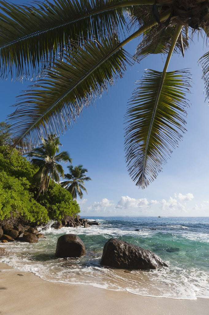 Detail of Mahe, Seychelles by Anonymous