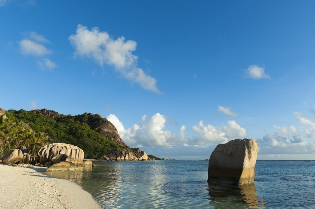 Detail of Anse Source d'Argent beach, La Digue by Anonymous