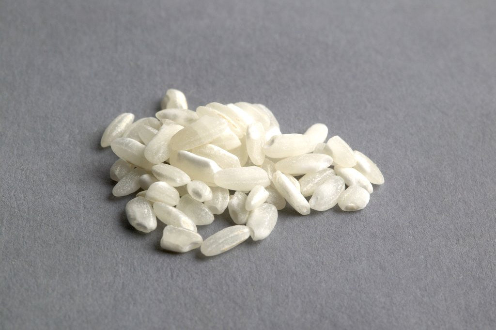 Detail of Arborio rice by Anonymous