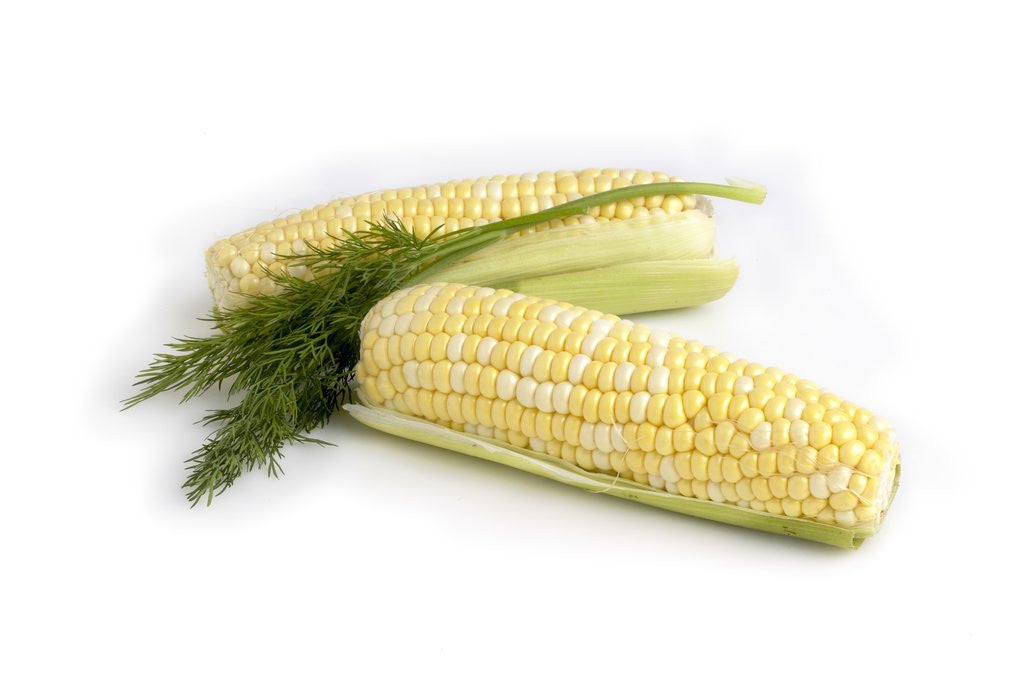 Detail of Corn on the cobb with dill by Anonymous