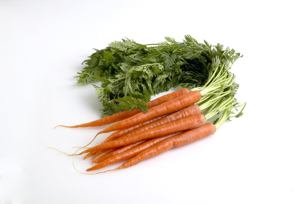 Detail of Carrots by Anonymous
