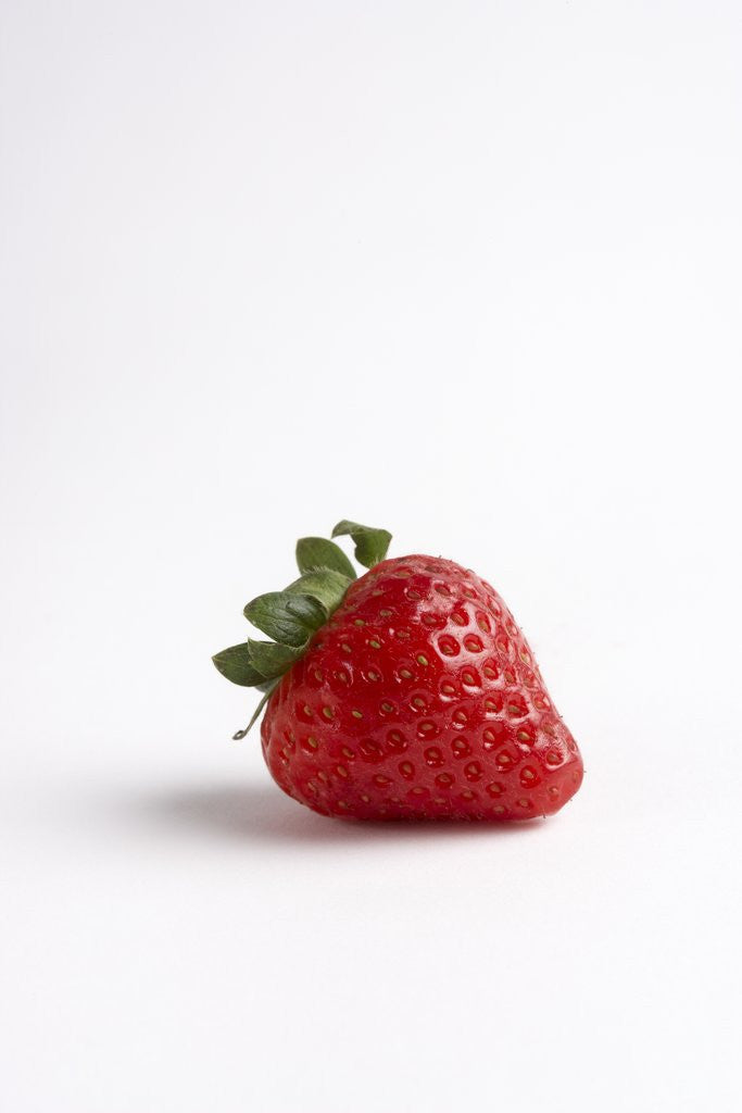 Detail of Strawberry by Anonymous