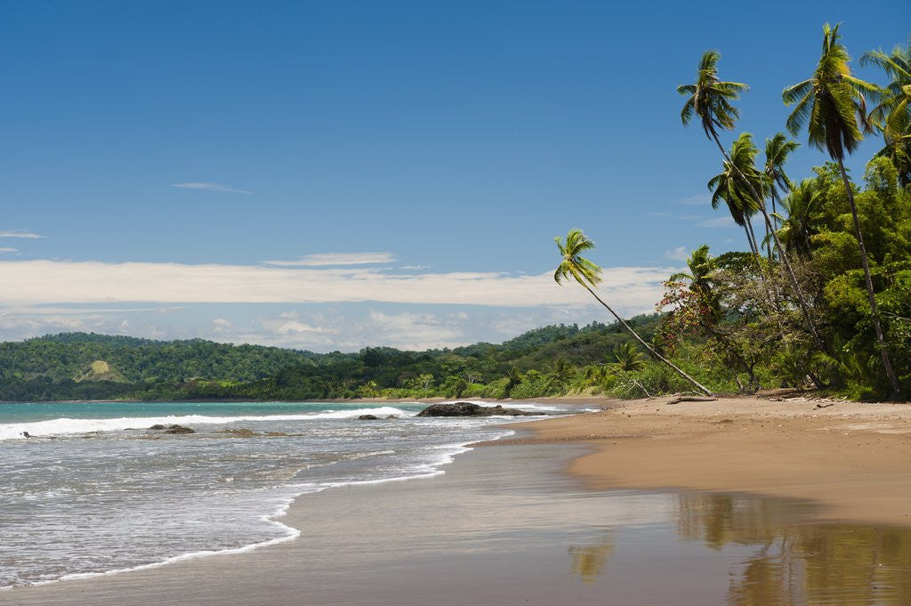 Detail of Osa peninsula, Costa Rica. by Anonymous
