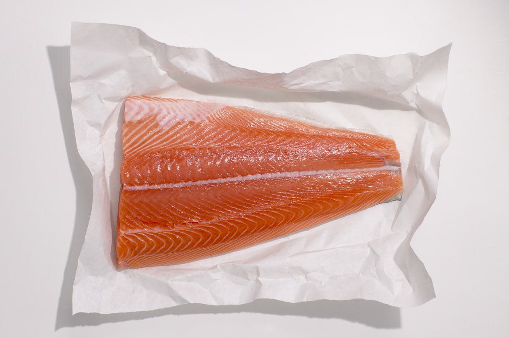 Detail of Salmon fillet by Anonymous