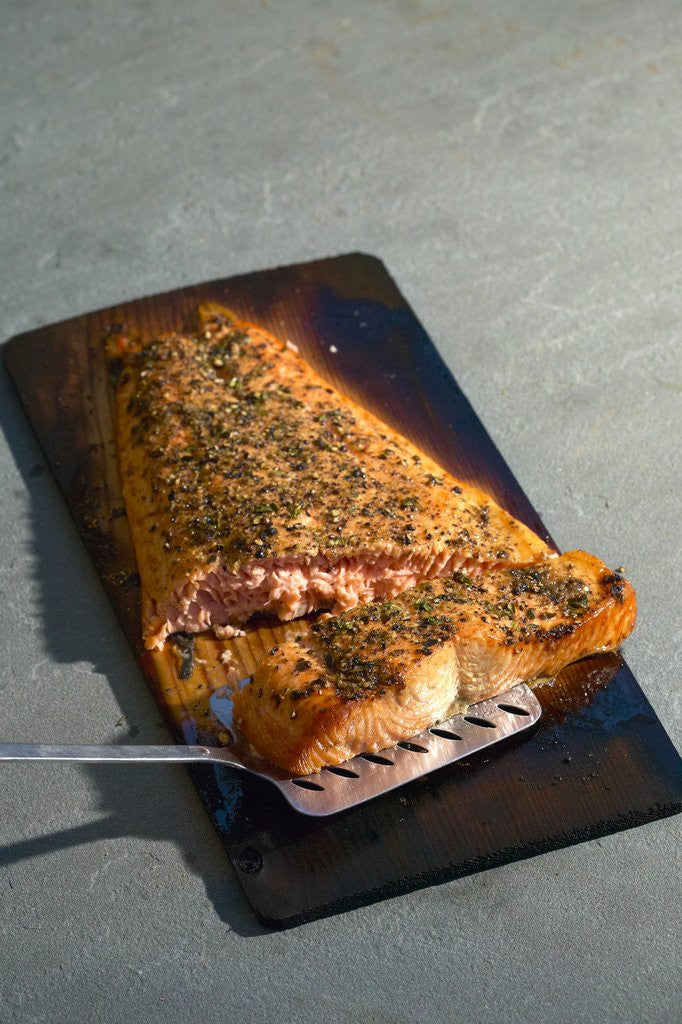 Detail of Grilled salmon fillet by Anonymous