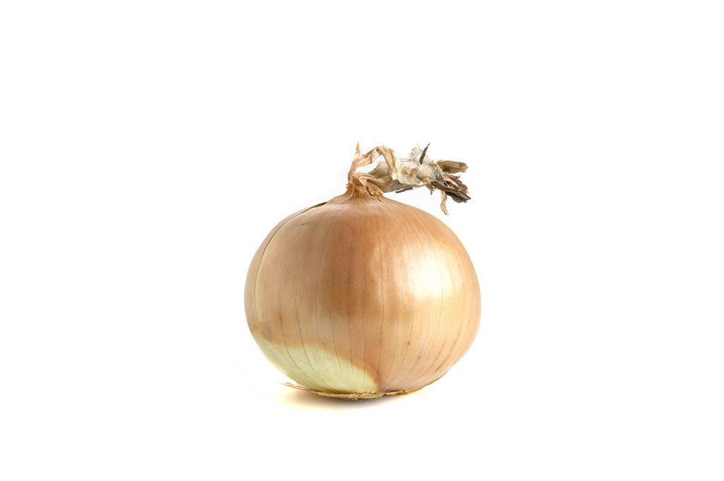 Detail of White onion by Corbis