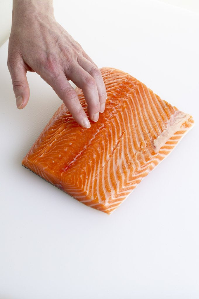 Detail of Salmon fillet by Anonymous