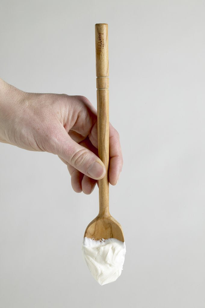 Detail of Spoon with yogurt by Anonymous