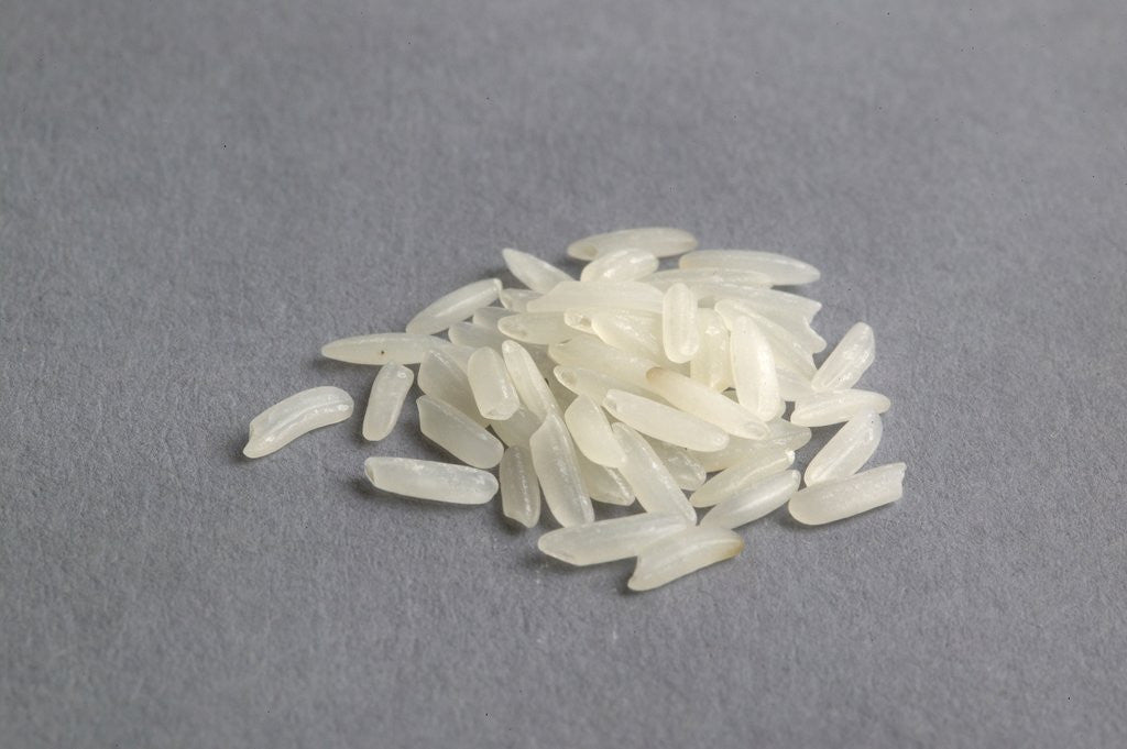 Detail of Jasmine rice by Anonymous