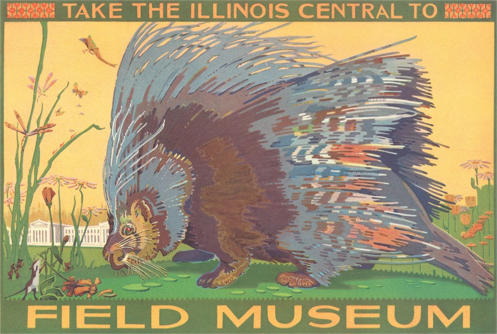 Detail of Poster for Field Museum with Porcupine by Anonymous