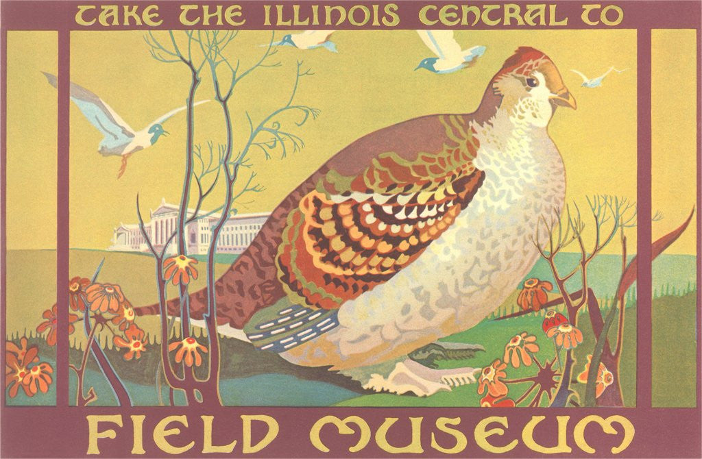 Detail of Poster for Field Museum with Quail by Anonymous