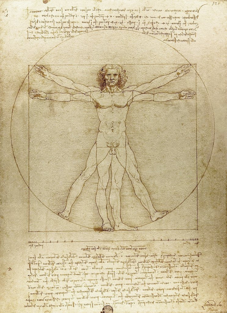 Detail of Vitruvian Man (Canon of Proportions) by Leonardo da Vinci