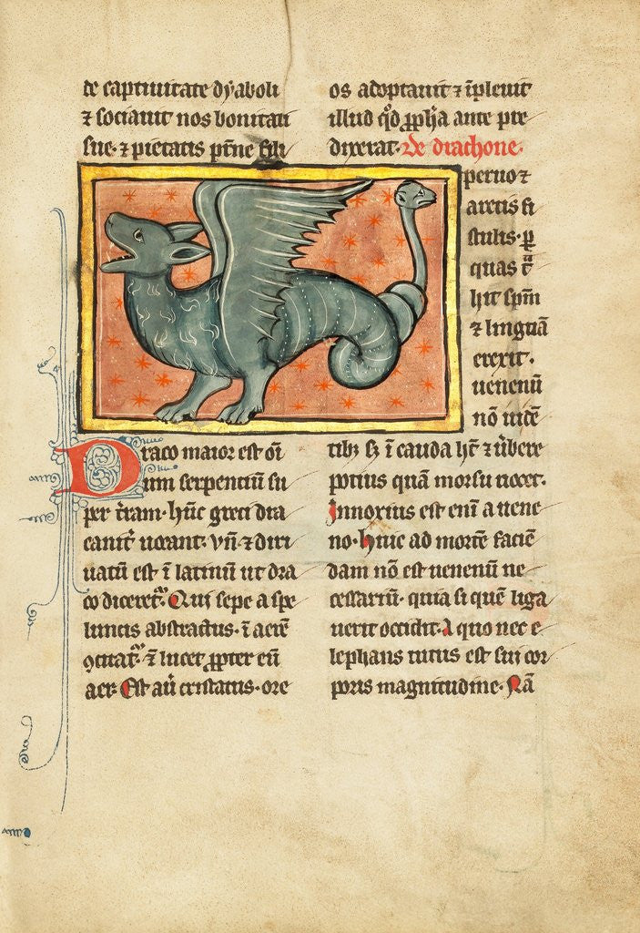 Detail of A Winged Dragon by Anonymous