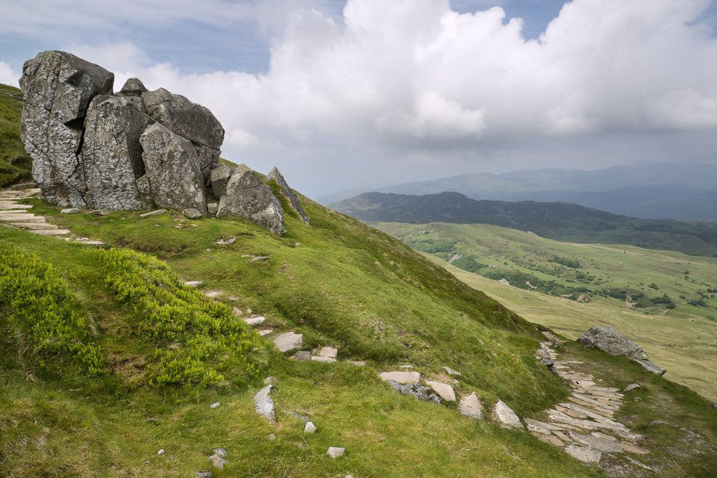 Detail of View From Cadair Idris Looking North Towards Dolgellau Over Fields and Countryside by Anonymous