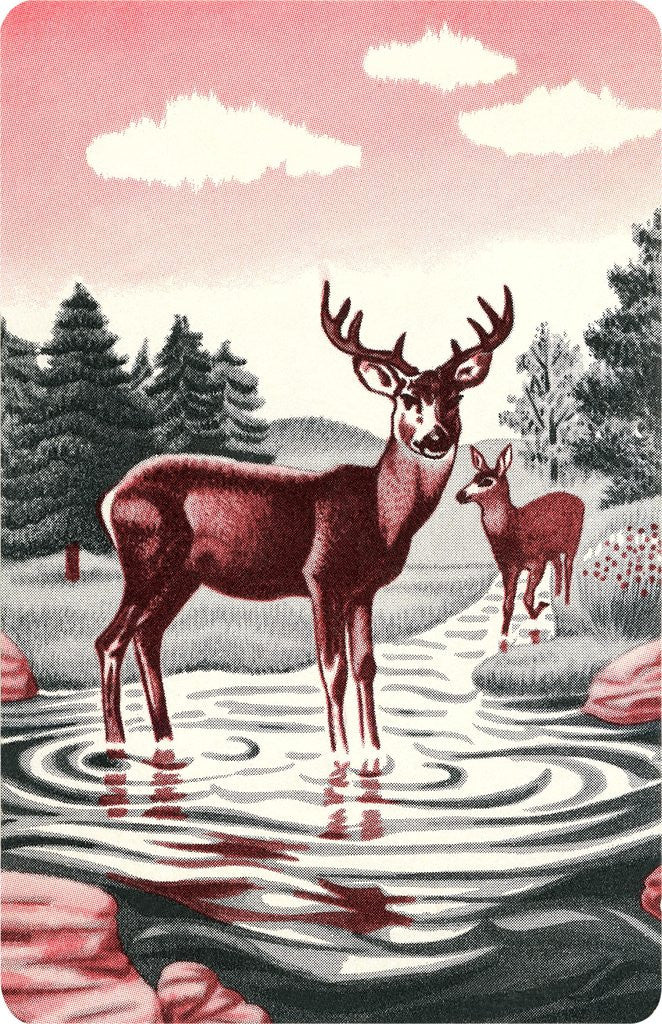 Detail of Deer in Stream by Anonymous