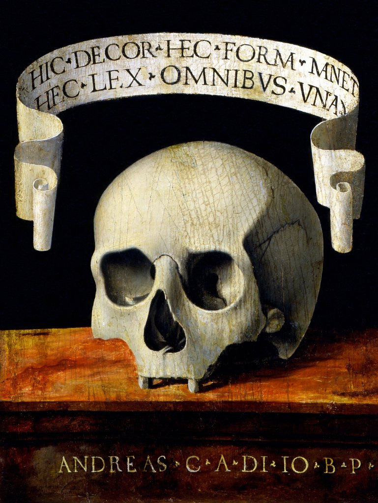 Detail of Skull of a Man - Memento Mori by Andrea Previtali