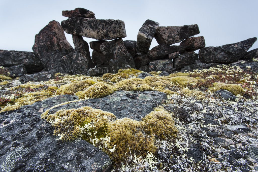 Detail of Tent Rings, Nunavut, Canada by Anonymous