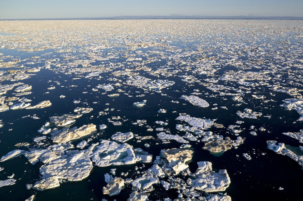 Detail of Sea Ice, Hudson Bay, Nunavut, Canada by Anonymous