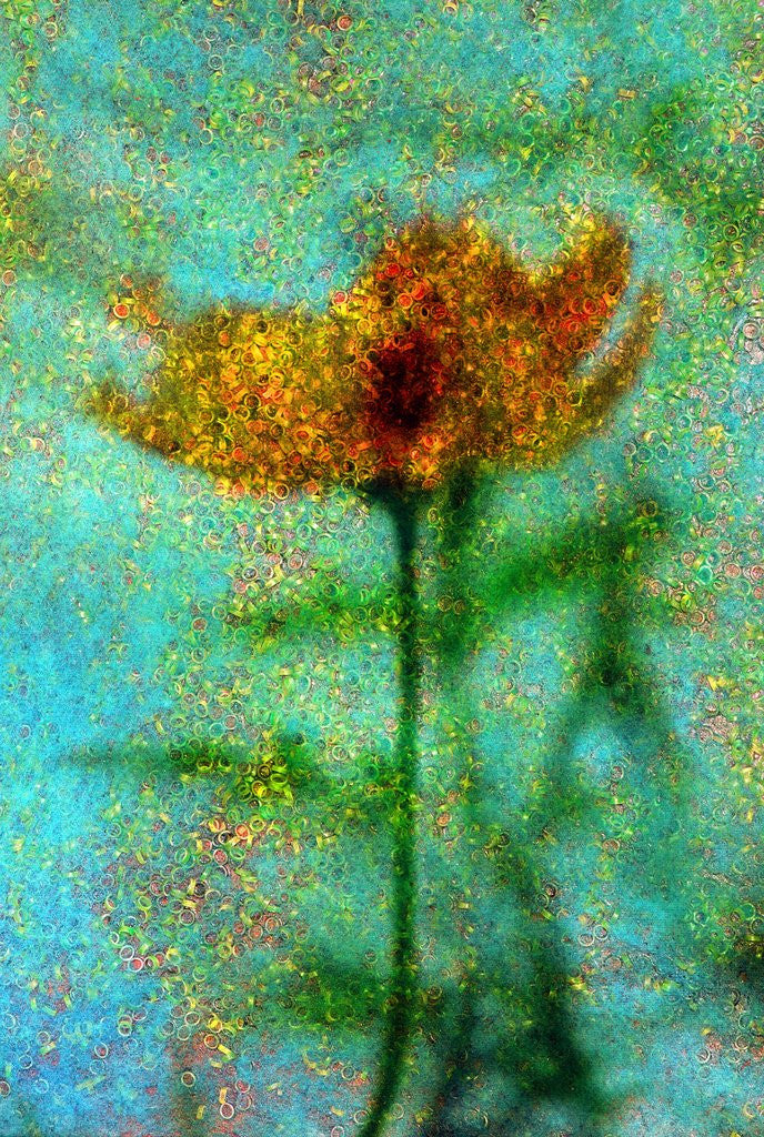 Detail of Yellow Flower. by Anonymous