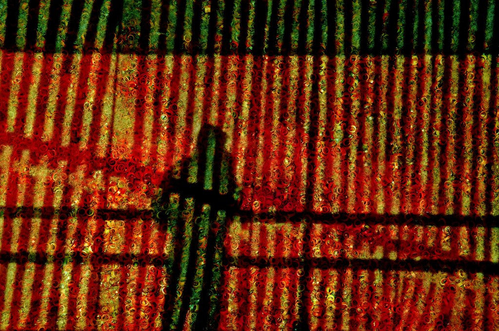 Detail of Stripped Window. by Anonymous