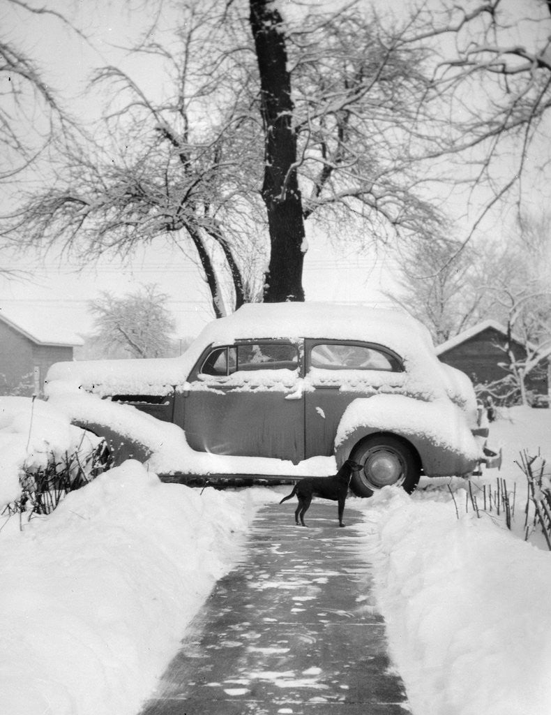 Detail of Snowy scene in Illinois, ca. 1940. by Anonymous