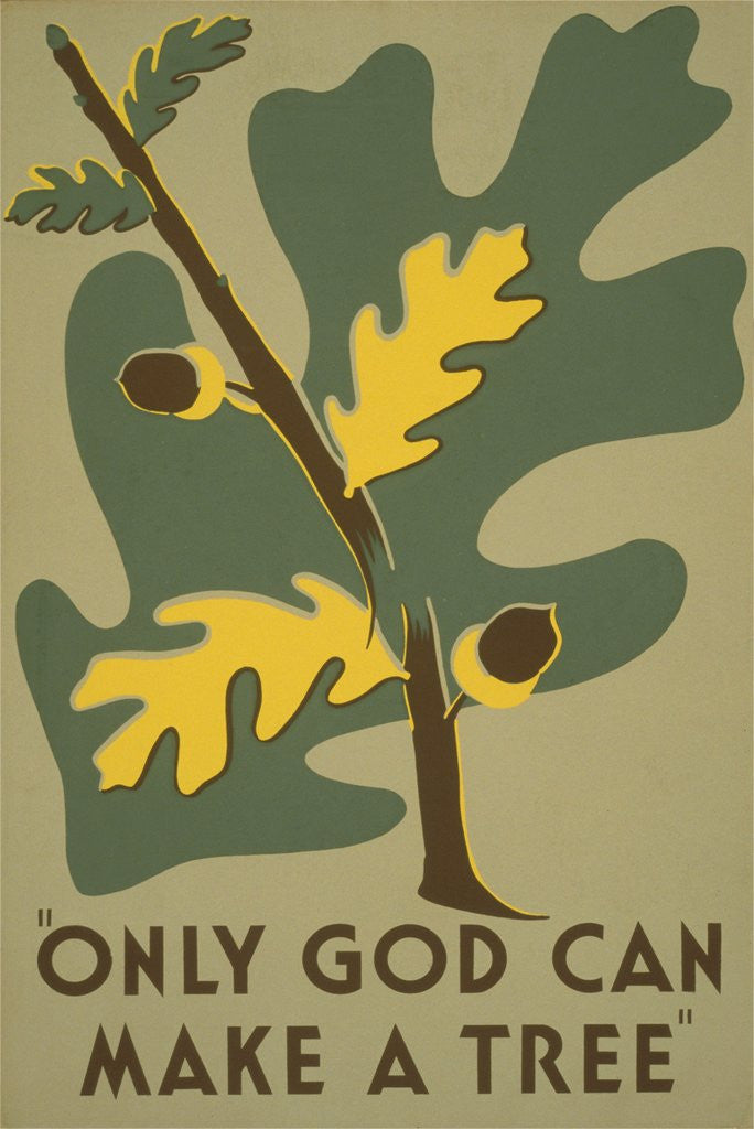 Detail of Only God Can Make a Tree, Oak by Anonymous