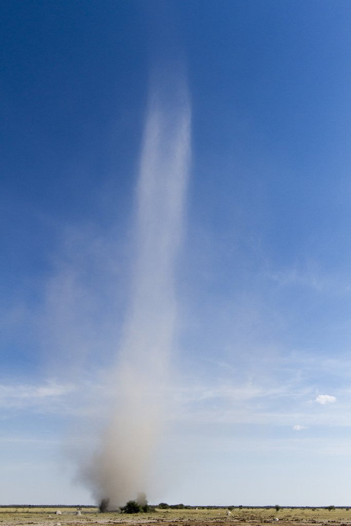 Detail of Dust Devil, Nxai Pan National Park, Botswana by Anonymous