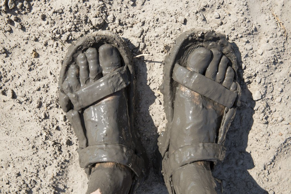 Detail of Mud-covered Feet, Chobe National Park, Botswana by Anonymous