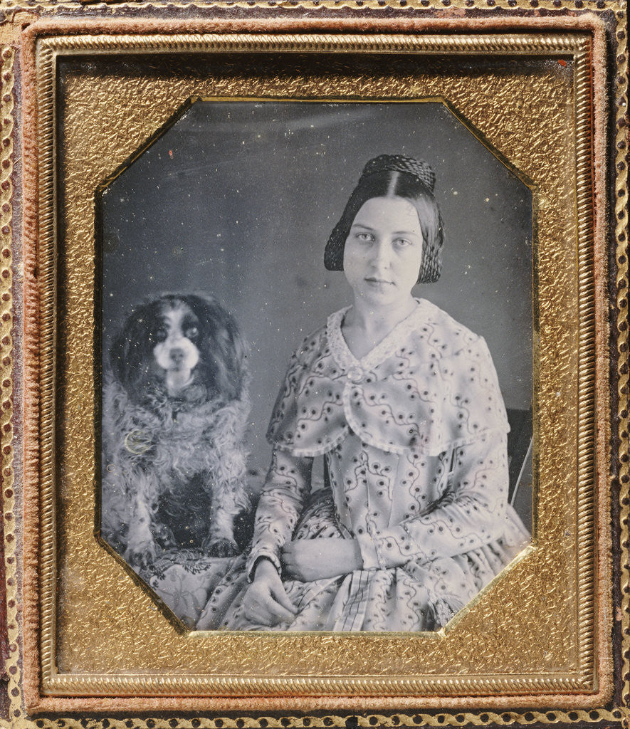 Detail of Young Girl with a King Charles Spaniel by Anonymous