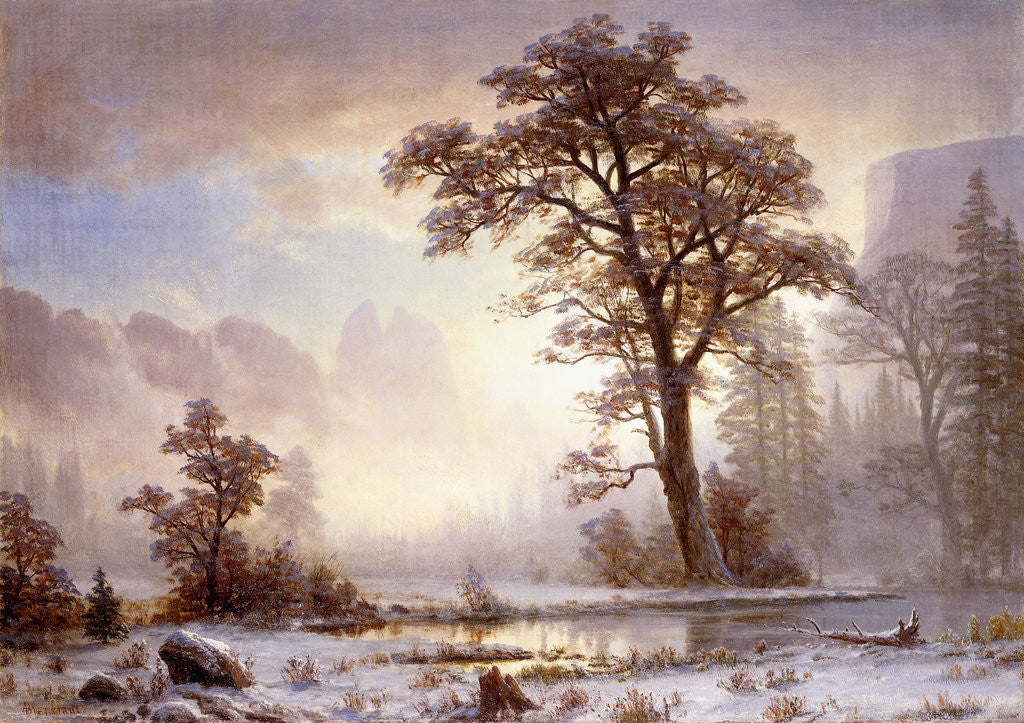 Detail of Valley of the Yosemite -Snow Fall by Albert Bierstadt