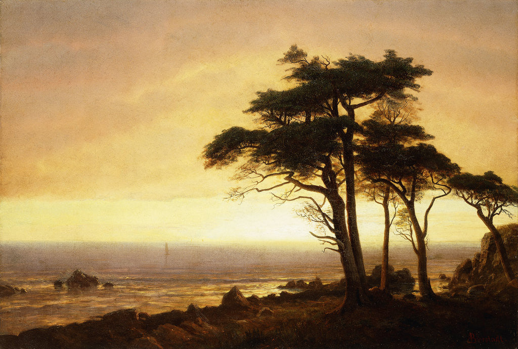 Detail of California Coast by Albert Bierstadt