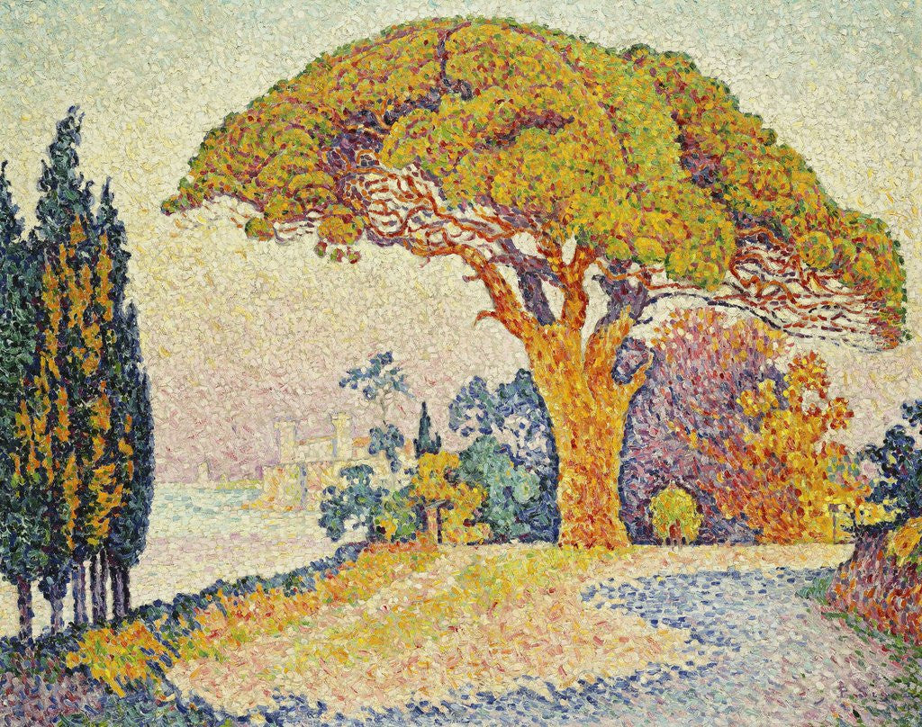Detail of Pine Trees at Bertaud, Saint- Tropez (Provence) by Paul Signac