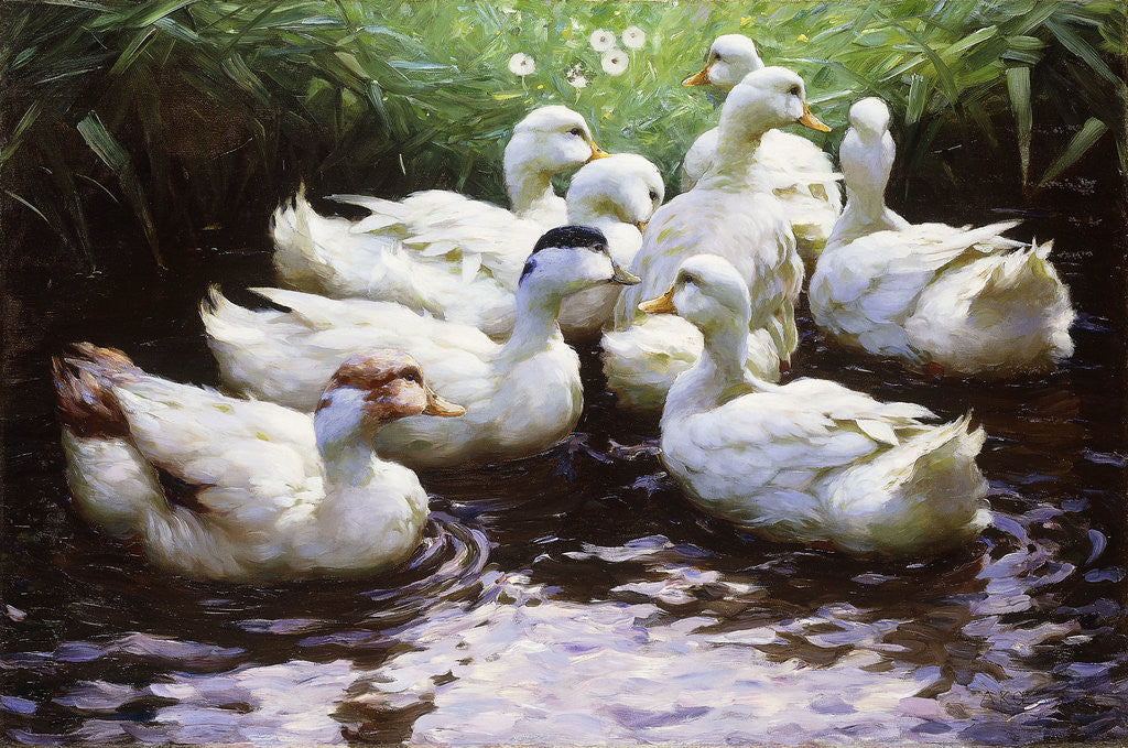 Detail of Ashore (Ducks) by Alexander Koester