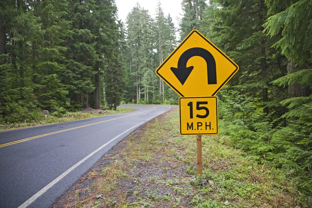 Detail of A signpost on a forest road warning of a U turn in the Cascade Mountains of Central Oregon by Corbis