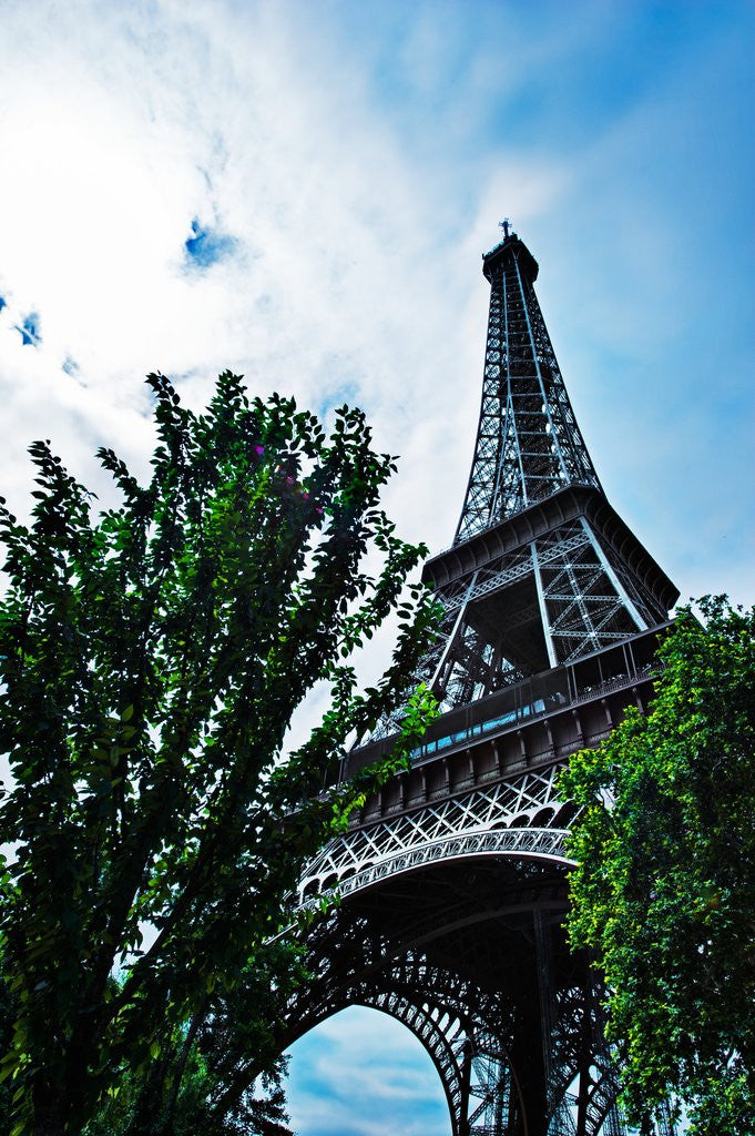 Detail of Paris by Anonymous