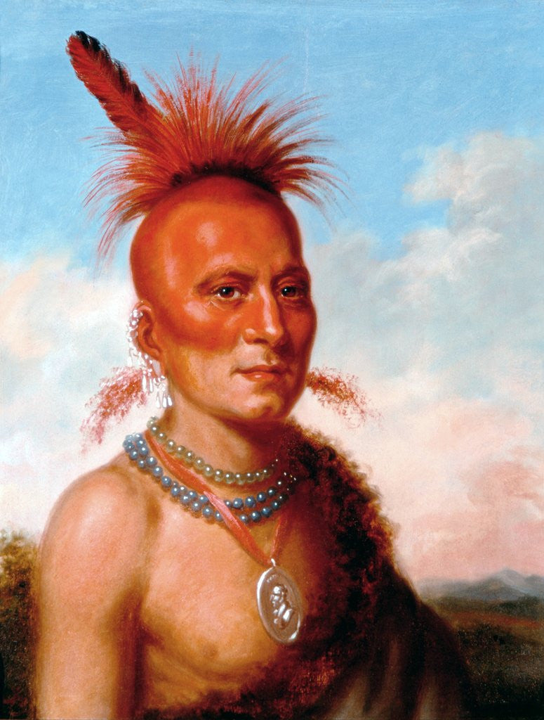 Detail of Sharitarish (Wicked Chief), Pawnee by Charles Bird King
