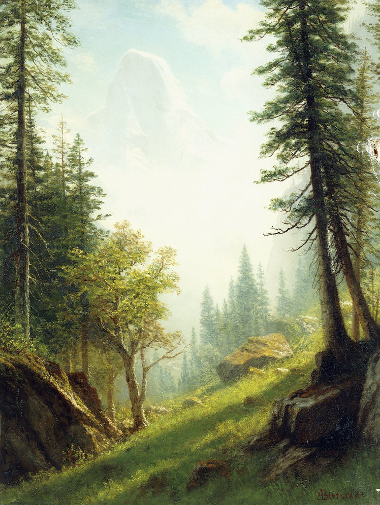 Detail of Among the Bernese Alps by Albert Bierstadt