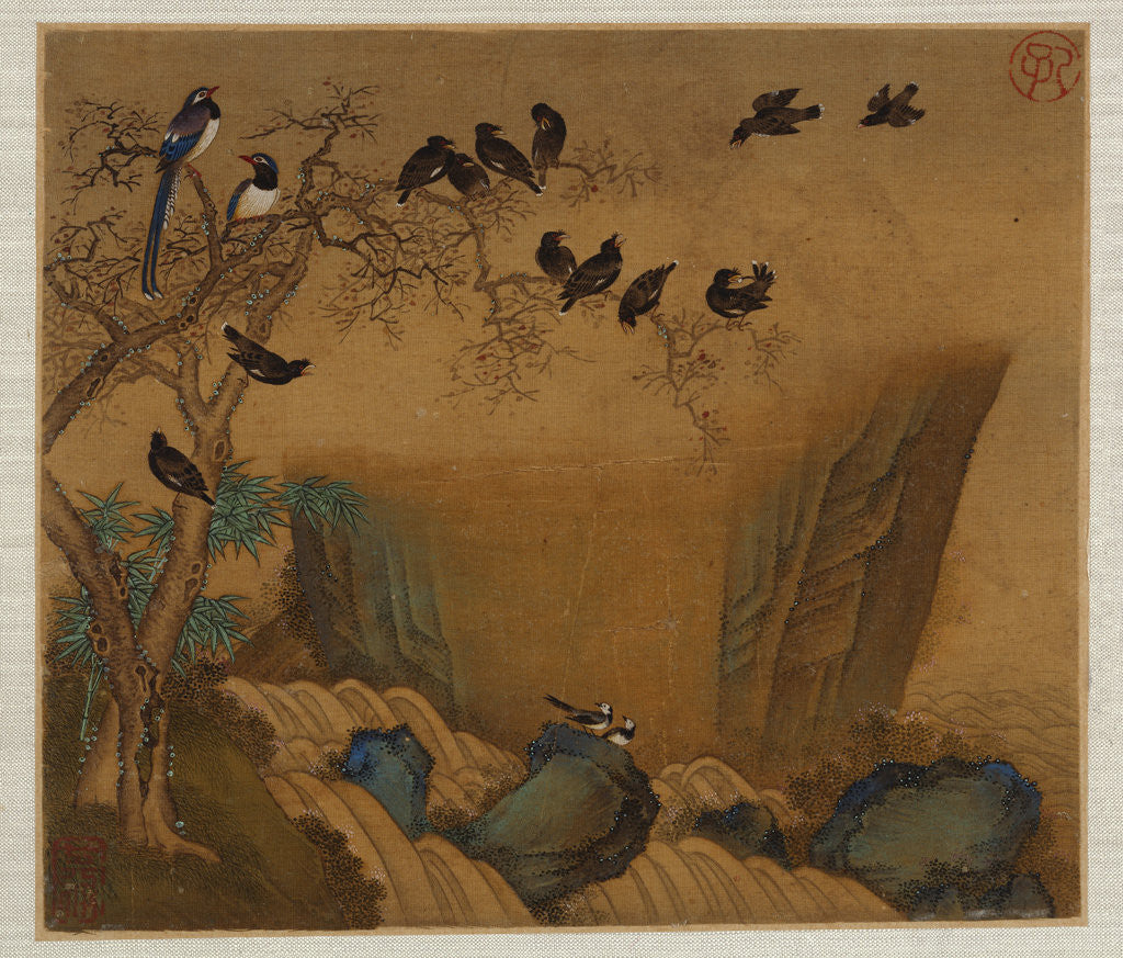 Detail of Mynah birds gathering in a tree by a stream from an album of bird paintings by Gao Qipei