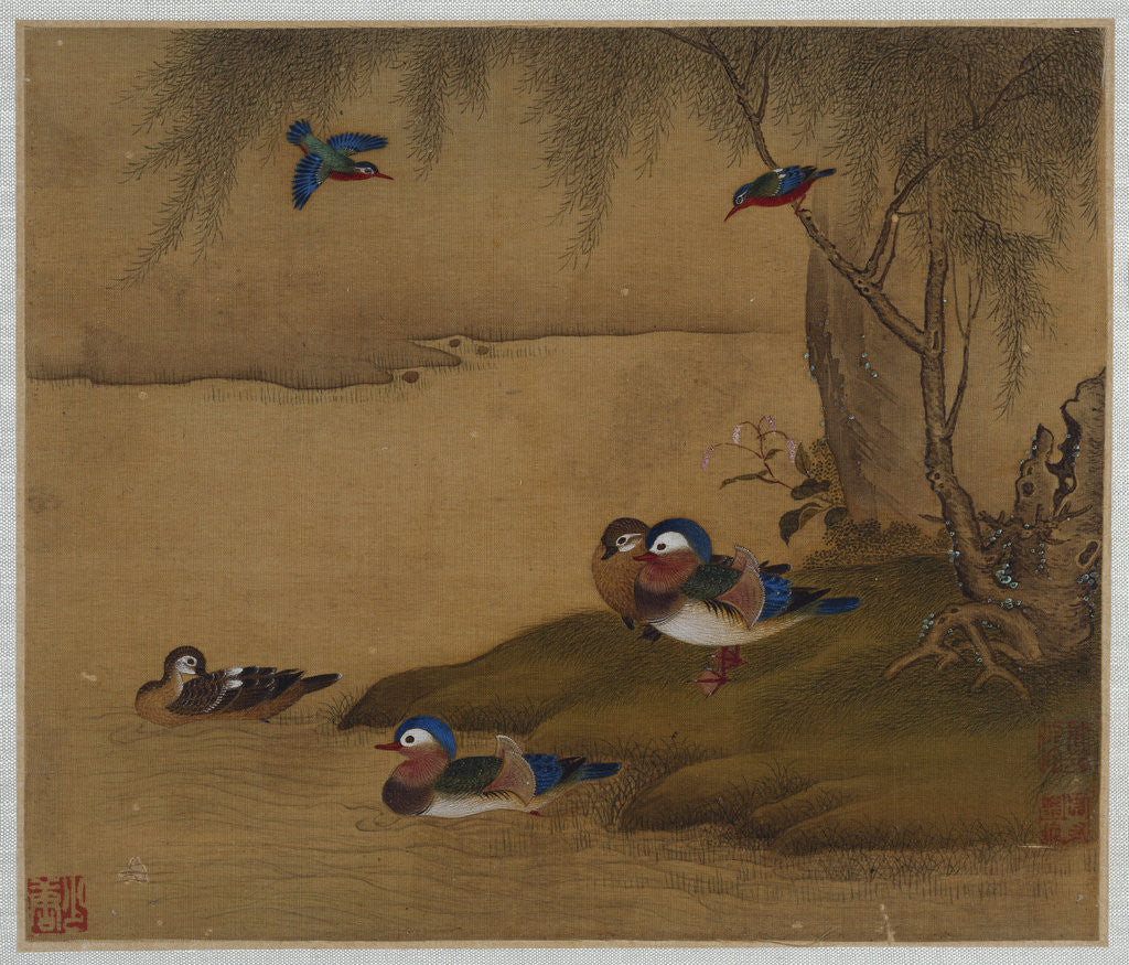 Detail of Mandarin ducks playing on a willow bank from an album of bird paintings by Gao Qipei