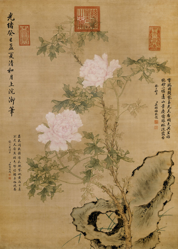 Detail of Peonies and Rock by Empress Dowager Cixi