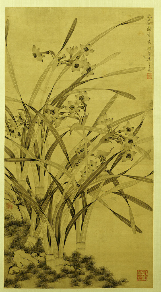 Detail of Narcissus by Ma Shouzhen